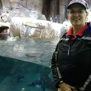 Meet your Posher, Jeanine